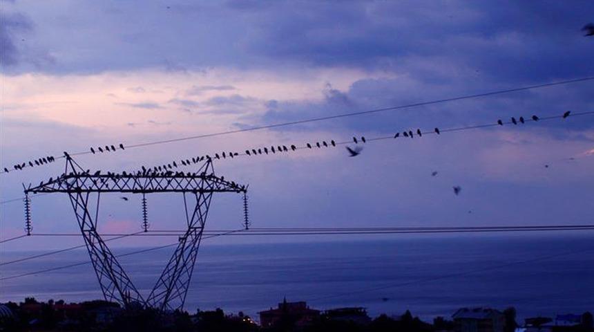 Spot piyasada elektrik fiyatları