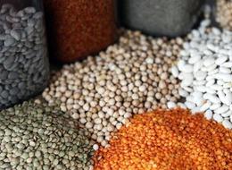 Güneydoğu'dan 5 ayda 1,5 milyar dolarlık hububat ihracatı gerçekleştirildi