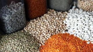 Güneydoğu'dan 5 ayda 1,5 milyar dolarlık hububat ihracatı gerçekleştirildi