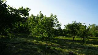 Tarlanın birini sattı, diğerini... 2,8 dönüm imarlı arazi! Televizyonda görüp aynısını yaptı