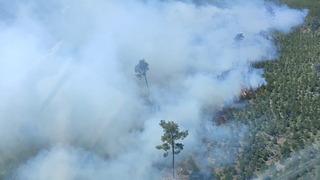 Manisa'da çıkan orman yangınına müdahale devam ediyor