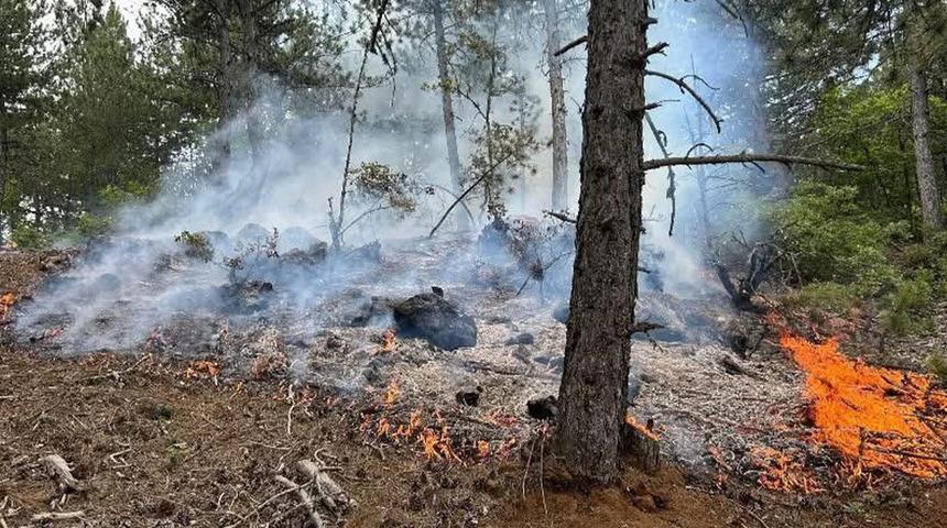 Kastamonu'da çıkan orman yangını büyümeden söndürüldü