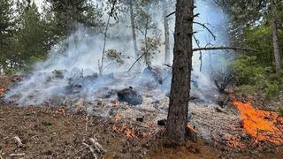 Kastamonu'da çıkan orman yangını büyümeden söndürüldü