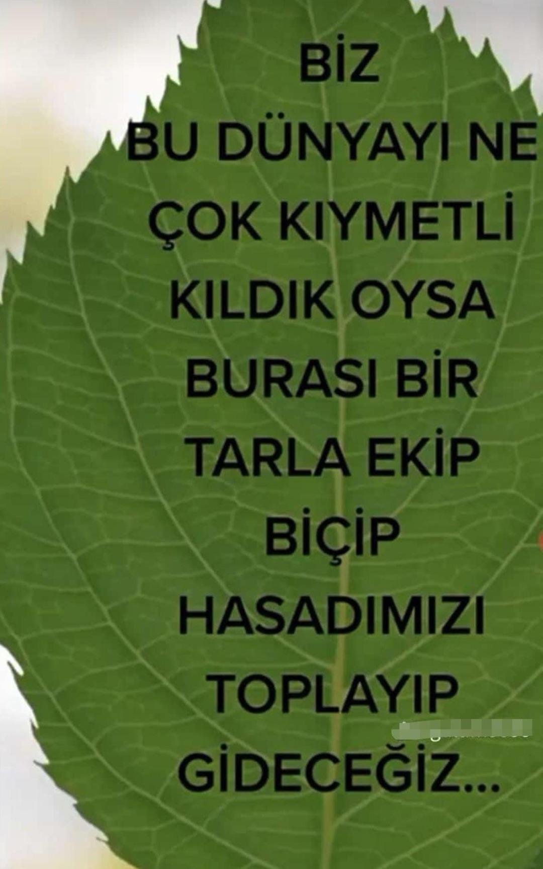 Bursa da kahreden olay! Eşini öldürüp, intihar etti... Öldürülen kadının son paylaşımı ortaya çıktı: "Biz bu dünyayı..." 3