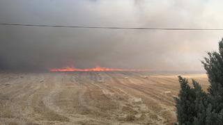 Manisa'da tarım arazisinde yangın! 2 saatte kontrol altına alındı