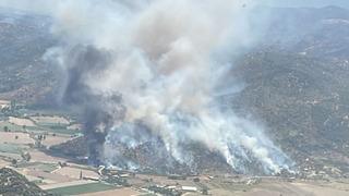 Söke'deki yangın kontrol altına alındı! Zeytinlik alan zarar gördü