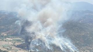 Söke'deki yangın kontrol altına alındı