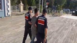 Foça'daki orman yangını soruşturmasında 1 tutuklama