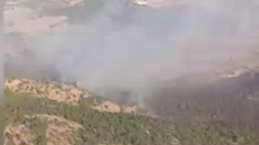 Balıkesir'de örtü yangını