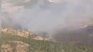 Balıkesir'de örtü yangını