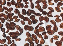 Altın ile yarışıyor! Tazesi 100 lira kurusu 1000 lira, üretimin yarısından fazlası bitecek