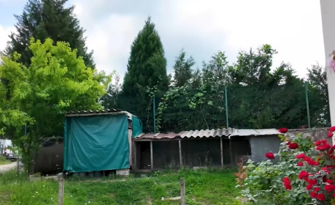 EVİ 6 EVİ 6
