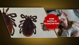 Kene hastalık bulaştırabilir!