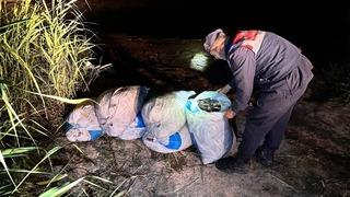 Jandarmanın inci kefali nöbeti sürüyor