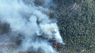 Adana'da çıkan orman yangını kontrol altına alındı
