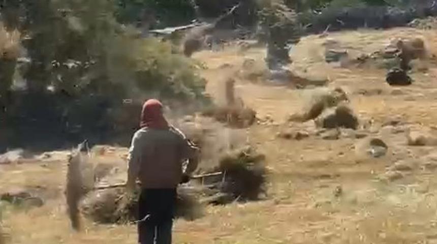 Bingöl’de hortum otları uçurdu