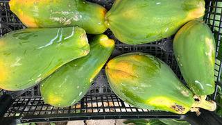 Kilosu 100 lira tezgahlarda yerini aldı! Hasat yeni başladı ama talep yoğun 