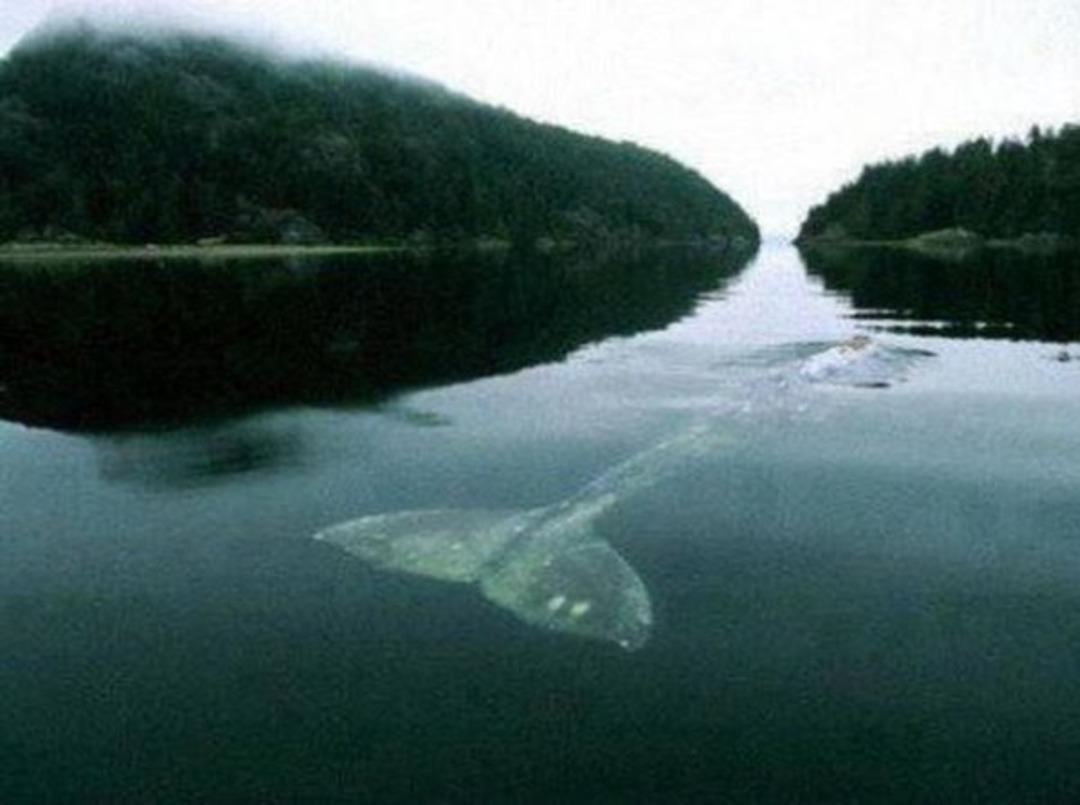 Bu bilgilere &ccedil;ok şaşıracaksınız..