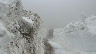 Rize'de haziran ayında karla mücadele sürüyor