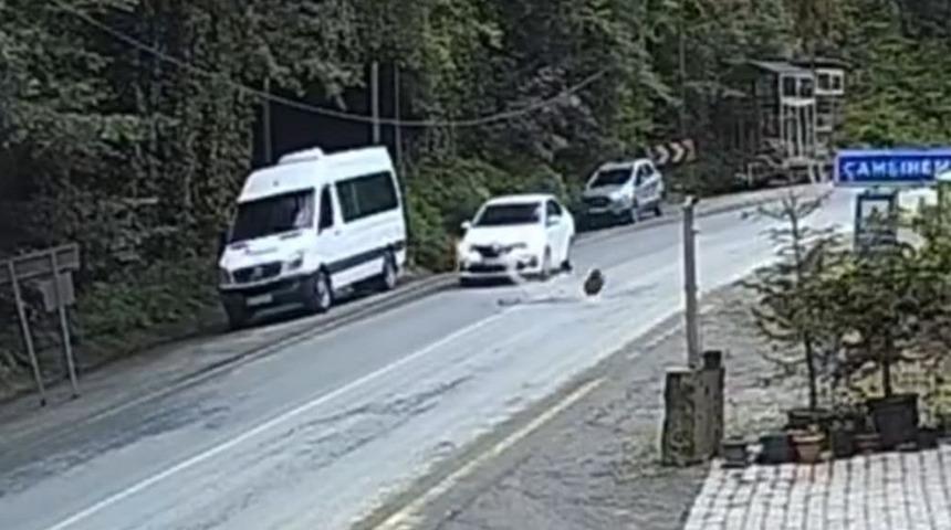 Otomobil düşen kayadan saniyelerle kurtuldu