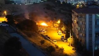 Elazığ’da otluk alanda yangın