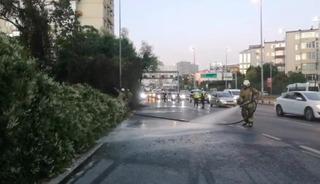 Şişli’de ağaçlık alanda çıkan yangın korkuttu