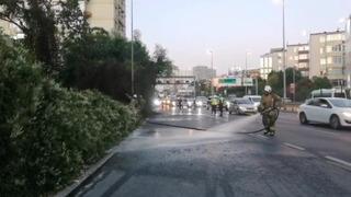 Şişli’de ağaçlık alanda çıkan yangın korkuttu