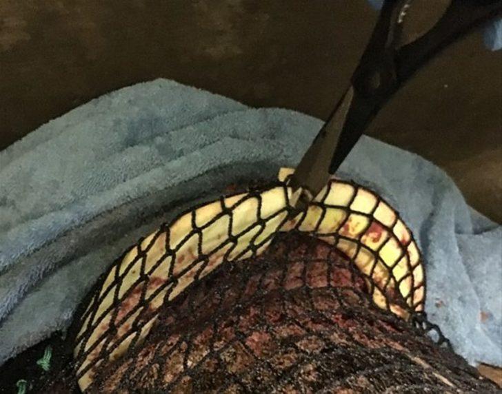 İnsanlığınızdan utandıran fotoğraflar  G2