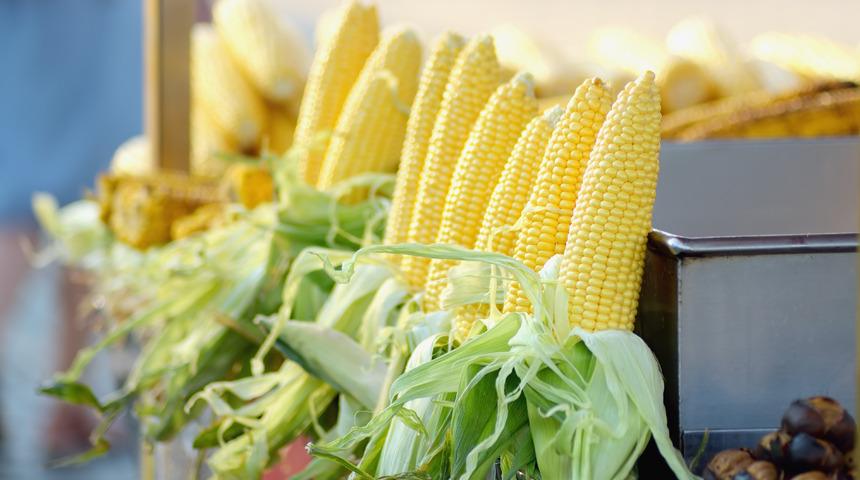 Mısır püskülünün faydaları nelerdir? Mısır püskülü neye iyi gelir?