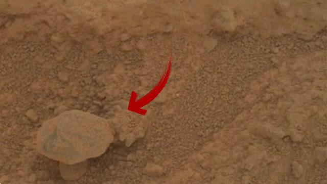 Mars'taki görüntü merak uyandırdı! Canlı bir mantar türü mü? Uzmanlar açıkladı...