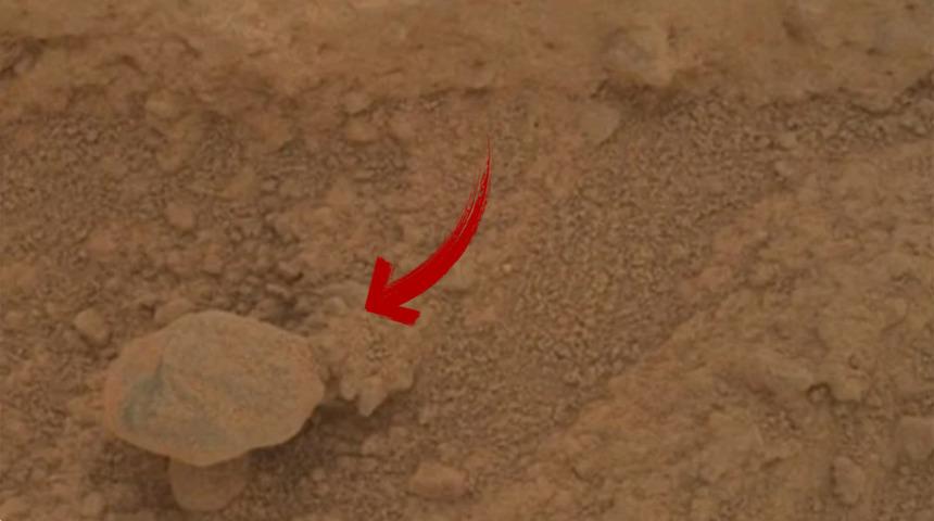 Mars'taki görüntü merak uyandırdı! Canlı bir mantar türü mü? Uzmanlar açıkladı...