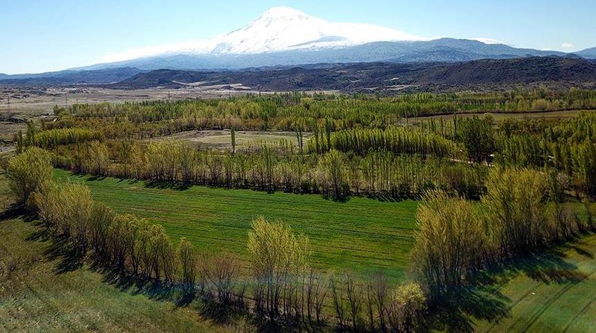 2B arazi nasıl alınır? 2B arsaya ev yapılır mı?