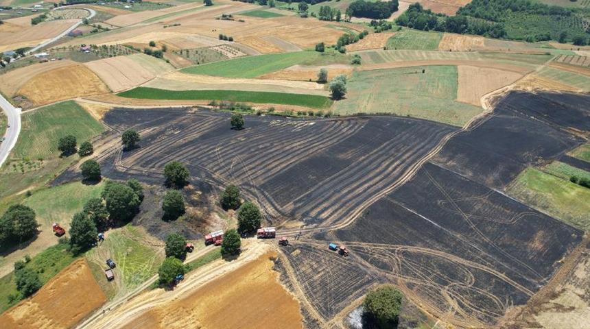 Sakarya'da 150 dönümlük tarım arazisi kül oldu