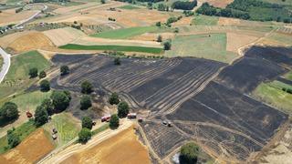Sakarya'da 150 dönümlük tarım arazisi kül oldu