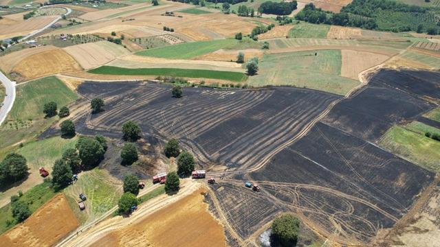 Sakarya'da 150 dönümlük tarım arazisi kül oldu