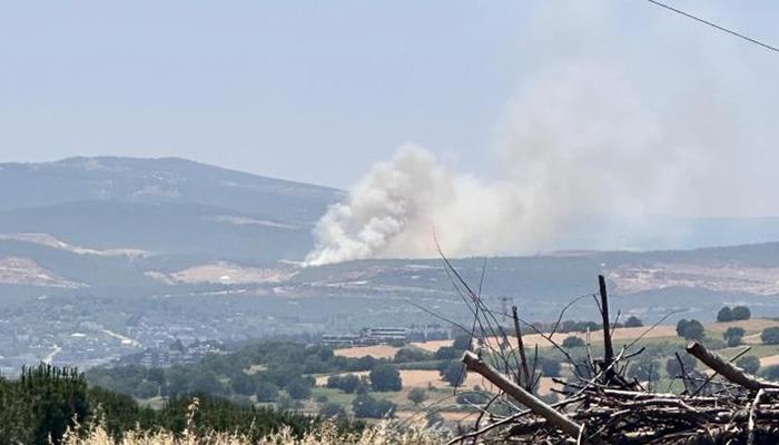 20403719-700x400 Bursa'da Kayapa bölgesinde orman yangını