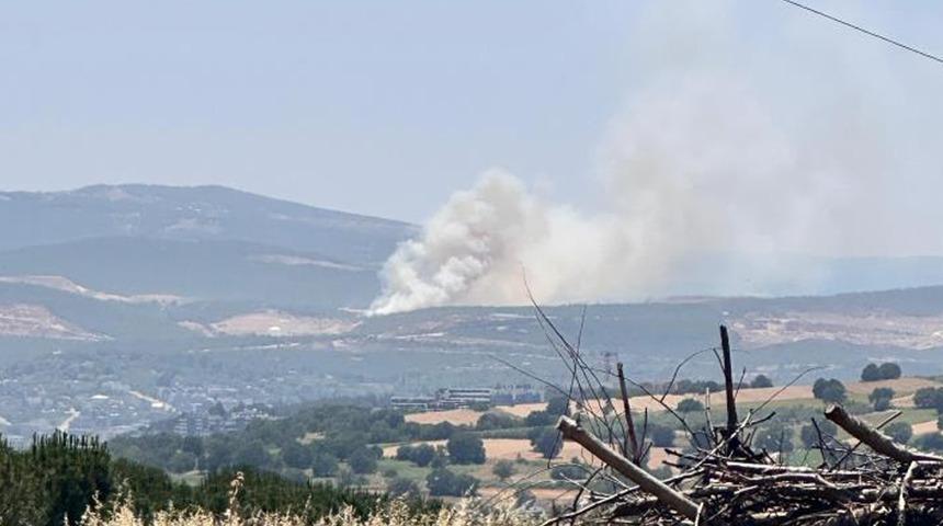 Bursa'da Kayapa bölgesinde orman yangını