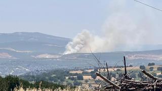 Bursa'da Kayapa bölgesinde orman yangını