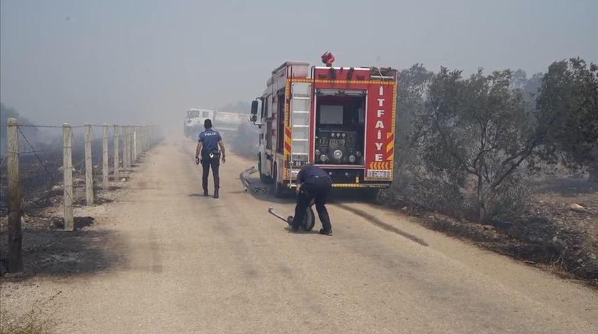 Balıkesir'de orman yangını