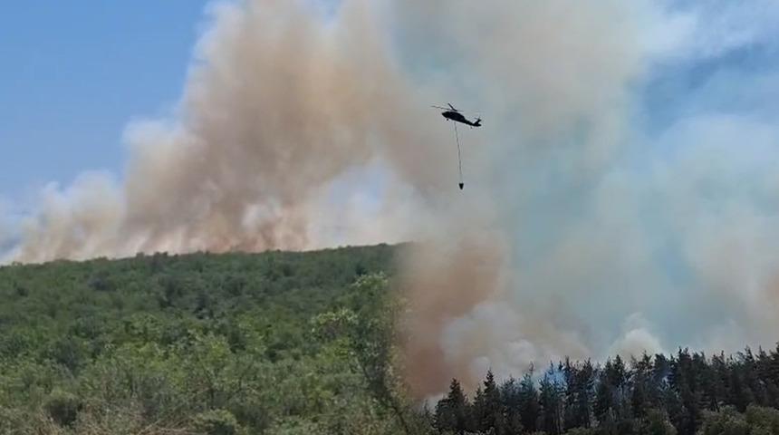 Bursa'da orman yangını! İlçenin elektriği kesildi, mahalle tahliye ediliyor
