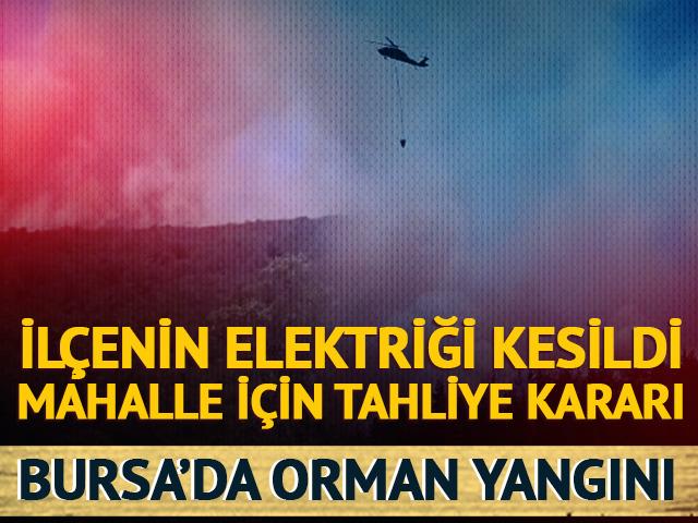 Bursa'da orman yangını! İlçenin elektriği kesildi, mahalle tahliye ediliyor