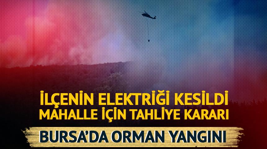Bursa'da orman yangını! İlçenin elektriği kesildi, mahalle tahliye ediliyor