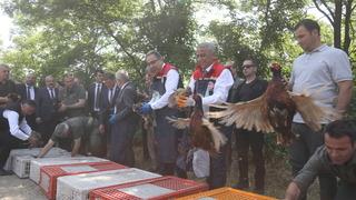 Kahverengi kokarca ile mücadele sürüyor! 15 bin samuray arıcığı ile 300 sülün doğaya bırakıldı