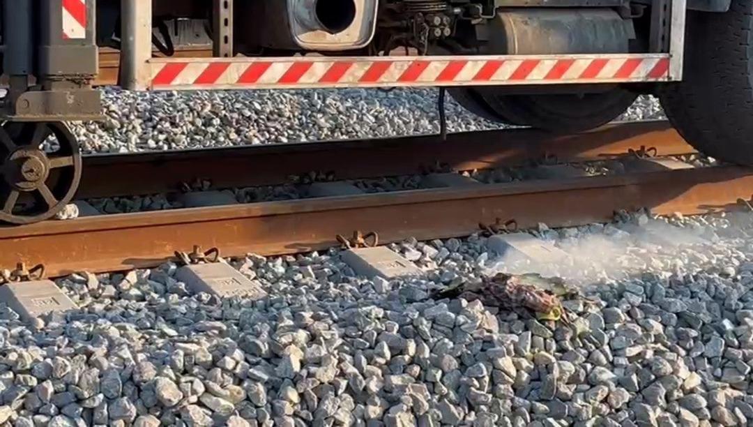 Çerkezköy’de elektrik akımına kapılan işçi ağır yaralandı 2