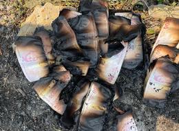 Biriktirdiği paralar yandı! Merkez Bankası'na başvurdu, hepsini geri aldı