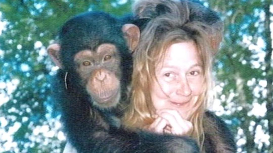 Şempanze yüzünü parçalamıştı! Yüz nakli olan kadın son halini yıllar sonra gösterdi 2