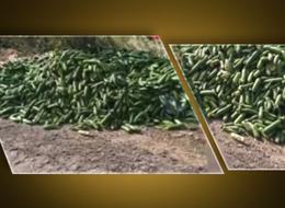 O görüntüler gündem olmuştu! Bakanlık harekete geçti, milyonlarca lira ceza kesilecek