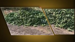 O görüntüler gündem olmuştu! Bakanlık harekete geçti, milyonlarca lira ceza kesilecek