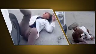 Başıboş sokak köpeklerinin toplanmasını istemeyen kadın, kendini yerden yere attı! Aracın önüne atlayıp bayılma numarası yaptı