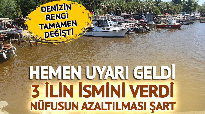 Denizin rengi tamamen değişti! Hemen uyarı geldi, 3 ilin ismini verdi: Nüfuslarının azaltılması şart